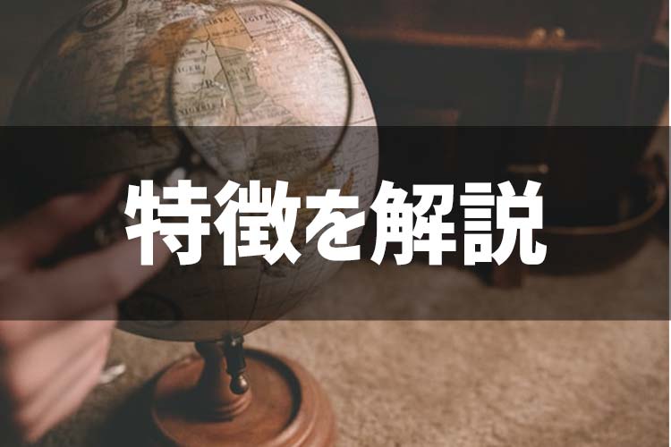 特徴を解説