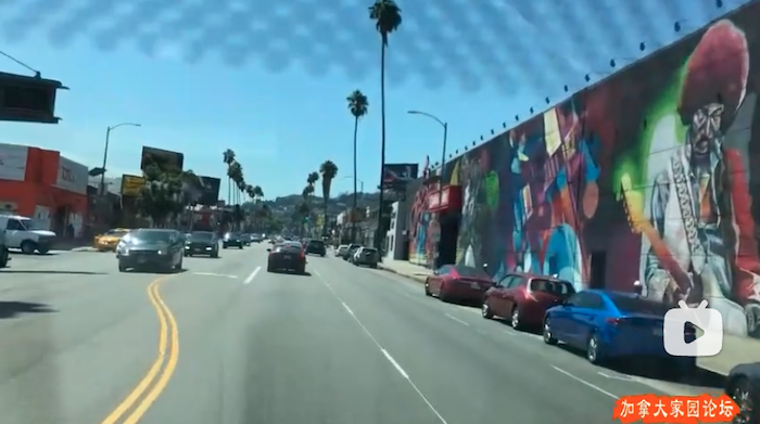 洛杉矶旅游攻略【2025】Los Angeles