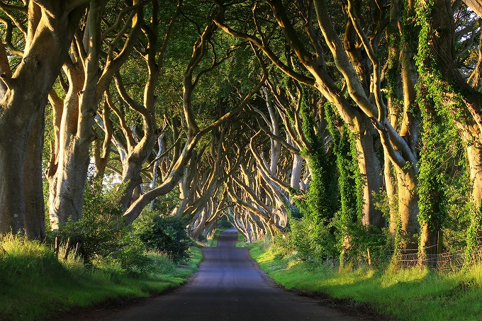 shutterstock_187763780