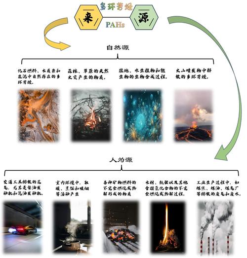 2023中国地质调查局烟台海岸带地质调查中心第二批招聘公告